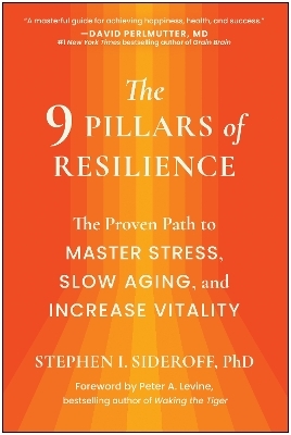 The 9 Pillars of Resilience - Stephen I. Sideroff