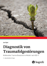 Diagnostik von Traumafolgest&ouml;rungen - Jan Gysi