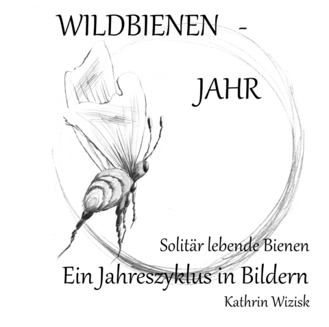 Wildbienenjahr I - Solit&auml;r lebende Bienen - Kathrin Wizisk