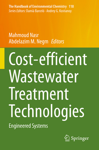 Cost-efficient Wastewater Treatment Technologies