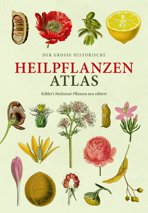 Der gro&szlig;e historische Heilpflanzen-Atlas - Hermann Adolph K&ouml;hler