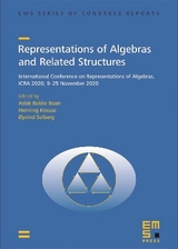 Representations of Algebras and Related Structures - Aslak Bakke Buan, Henning Krause, &Oslash;yvind Solberg