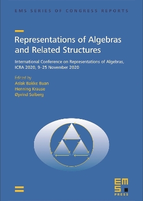 Representations of Algebras and Related Structures - Aslak Bakke Buan, Henning Krause, &Oslash;yvind Solberg