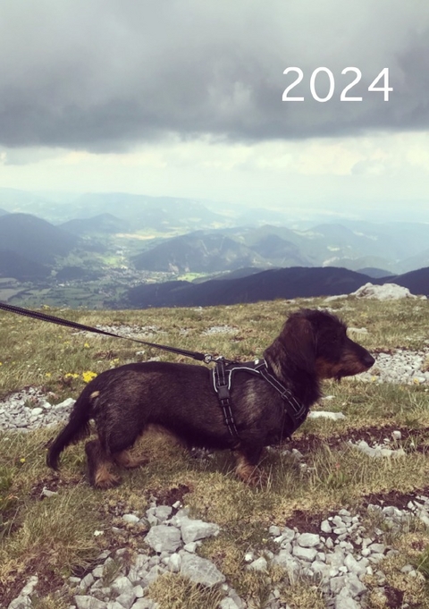 2024: Kalender - brids planer