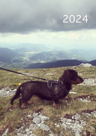 2024: Kalender & Notizen