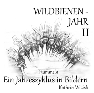 Wildbienenjahr II - Hummeln