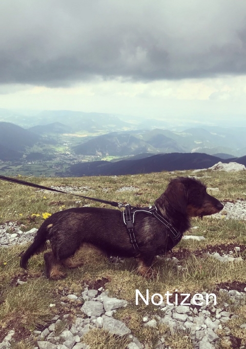 Notizen - brids planer