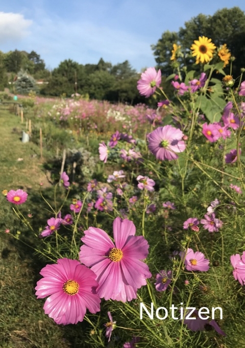 Notizen - brids planer