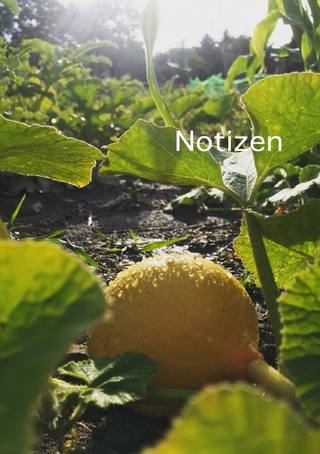 Notizen
