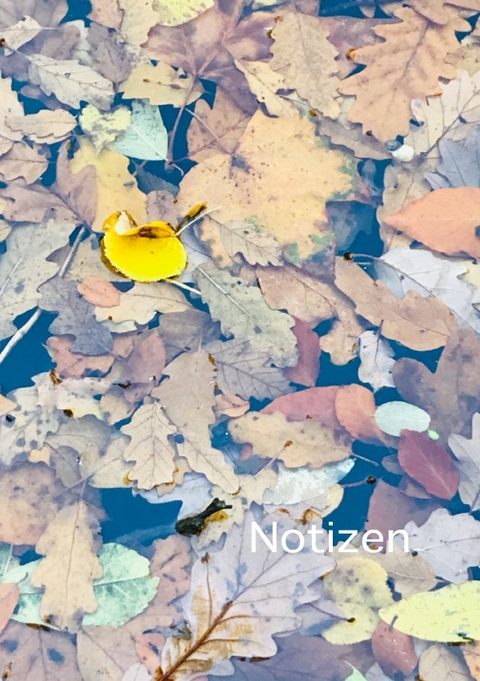 Notizen - brids planer