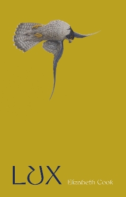 Lux - Elizabeth Cook
