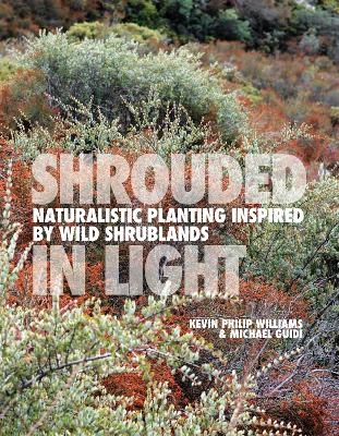 SHROUDED IN LIGHT - Kevin Philip Williams, Michael Guidi