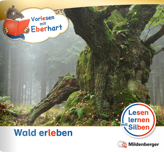 Vorlesen mit Eberhart – Wald erleben – Nachbezug Einzelheft