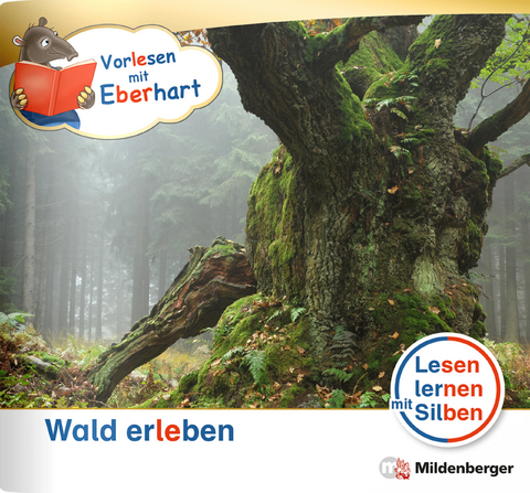 Vorlesen mit Eberhart &ndash; Wald erleben &ndash; Nachbezug Einzelheft - Nicole Brandau, Stefanie Drecktrah