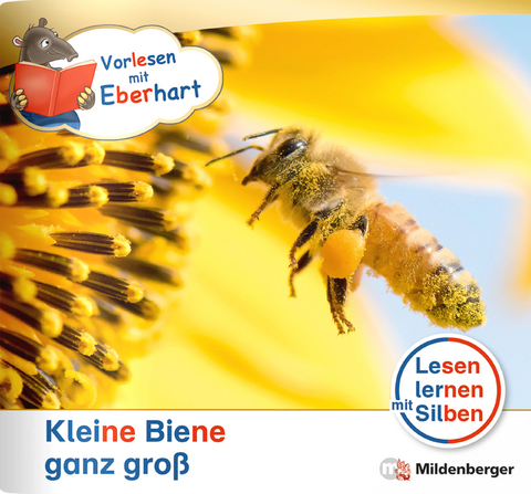 Vorlesen mit Eberhart &ndash; Kleine Biene ganz gro&szlig; &ndash; Nachbezug Einzelheft - Nicole Brandau, Stefanie Drecktrah