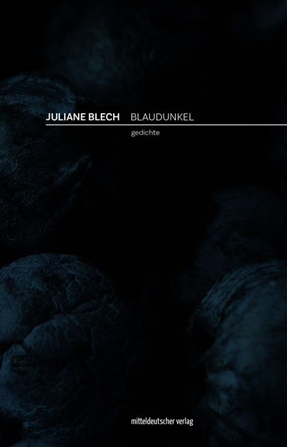 Blaudunkel - Juliane Blech