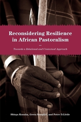 Reconsidering Resilience in African Pastoralism