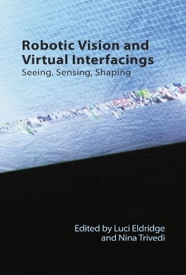 Robotic Vision and Virtual Interfacings