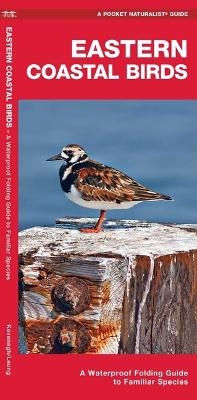Eastern Coastal Birds, 2nd Ed