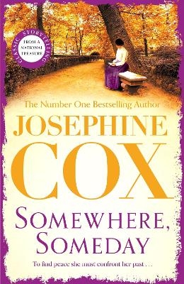 Somewhere, Someday - Josephine Cox