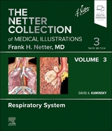 The Netter Collection of Medical Illustrations: Respiratory System, Volume 3 - Kaminsky, David A.