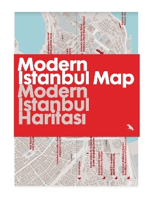 Modern Istanbul Map / Modern İstanbul Haritası - &Ouml;zlem Balcı &Ouml;zt&uuml;rk