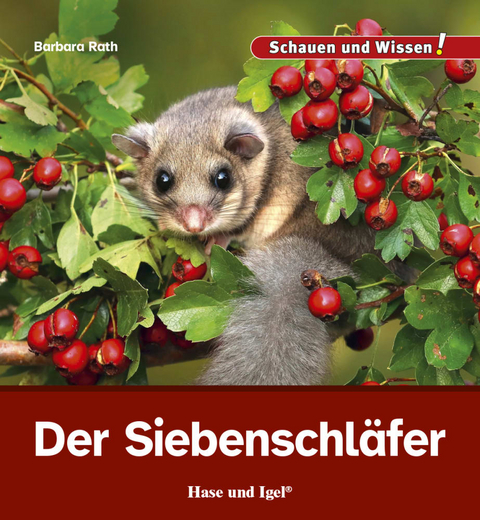 Der Siebenschl&auml;fer - Barbara Rath