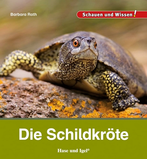Die Schildkr&ouml;te - Barbara Rath
