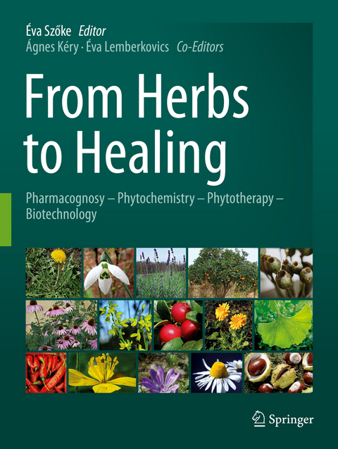 From Herbs to Healing - 