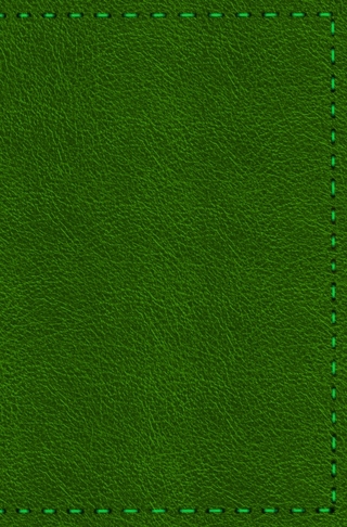 Notizbuch - Leder mit Naht (Farbe wie abgebildet)