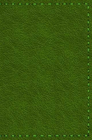 Notizbuch - Leder mit Naht (Farbe wie abgebildet)