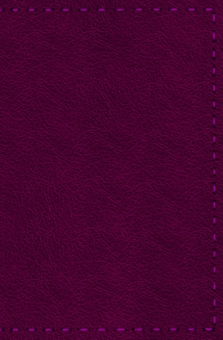 Notizbuch - Leder mit Naht (Farbe wie abgebildet)