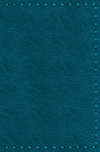 Notizbuch - Leder mit Naht (Farbe wie abgebildet)