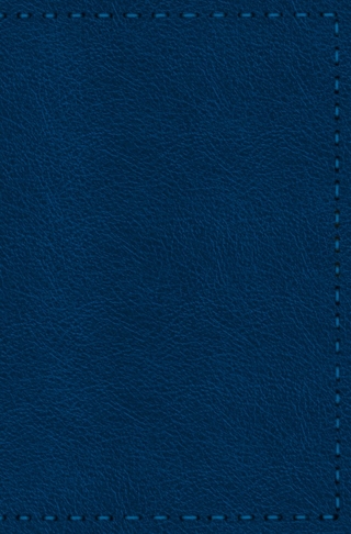 Notizbuch - Leder mit Naht (Farbe wie abgebildet)