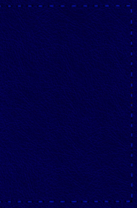 Notizbuch - Leder mit Naht (Farbe wie abgebildet) - H&auml;ndlerin des Waldes