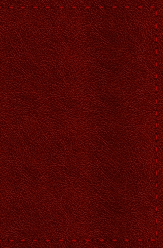 Notizbuch - Leder mit Naht (Farbe wie abgebildet)