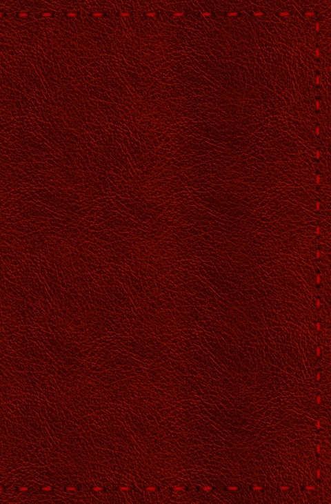 Notizbuch - Leder mit Naht (Farbe wie abgebildet) - H&auml;ndlerin des Waldes