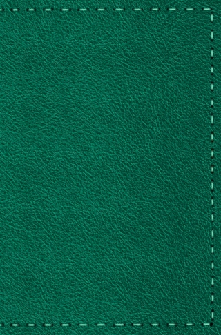 Notizbuch - Leder mit Naht (Farbe wie abgebildet)