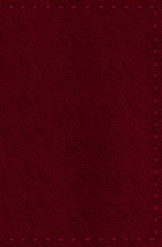 Notizbuch - Leder mit Naht (Farbe wie abgebildet)