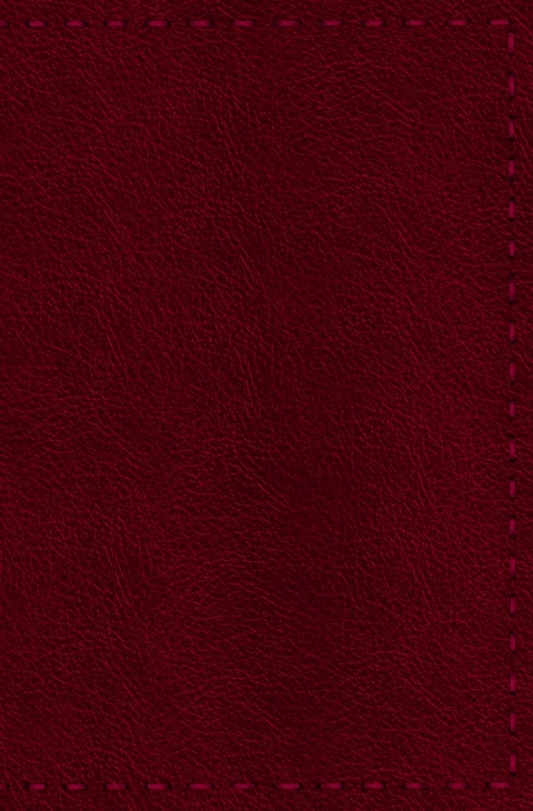 Notizbuch - Leder mit Naht (Farbe wie abgebildet) - H&auml;ndlerin des Waldes