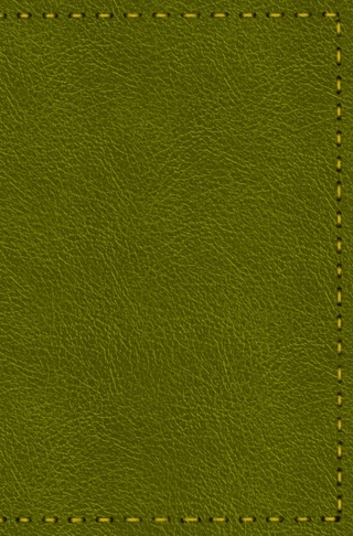 Notizbuch - Leder mit Naht (Farbe wie abgebildet)