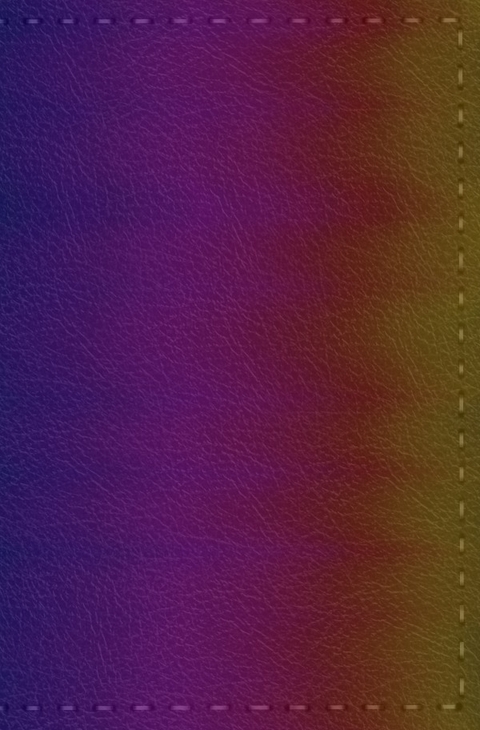 Notizbuch - Leder mit Naht (Farbe wie abgebildet) - H&auml;ndlerin des Waldes