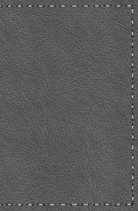 Notizbuch - Leder mit Naht (Farbe wie abgebildet) - H&auml;ndlerin des Waldes