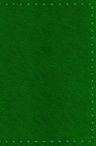 Notizbuch - Leder mit Naht (Farbe wie abgebildet)