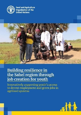 Building resilience in the Sahel region through job creation for youth