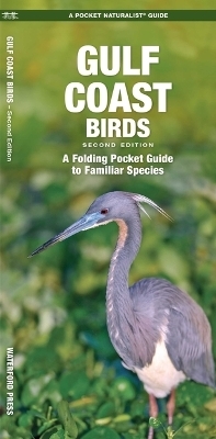 Gulf Coast Birds, 2nd Ed
