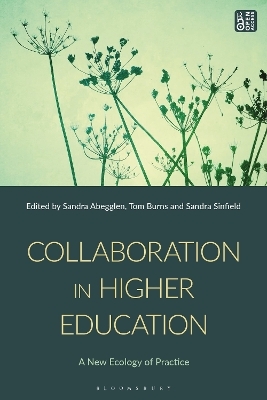 Collaboration in Higher Education - 