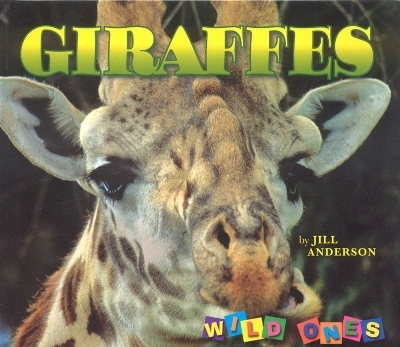 Giraffes - Jill Anderson