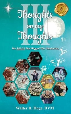 Thoughts on my Thoughts Book III
