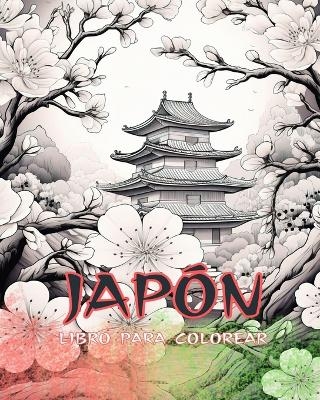 Libro para colorear de Jap&oacute;n - Japanese Coloring Books